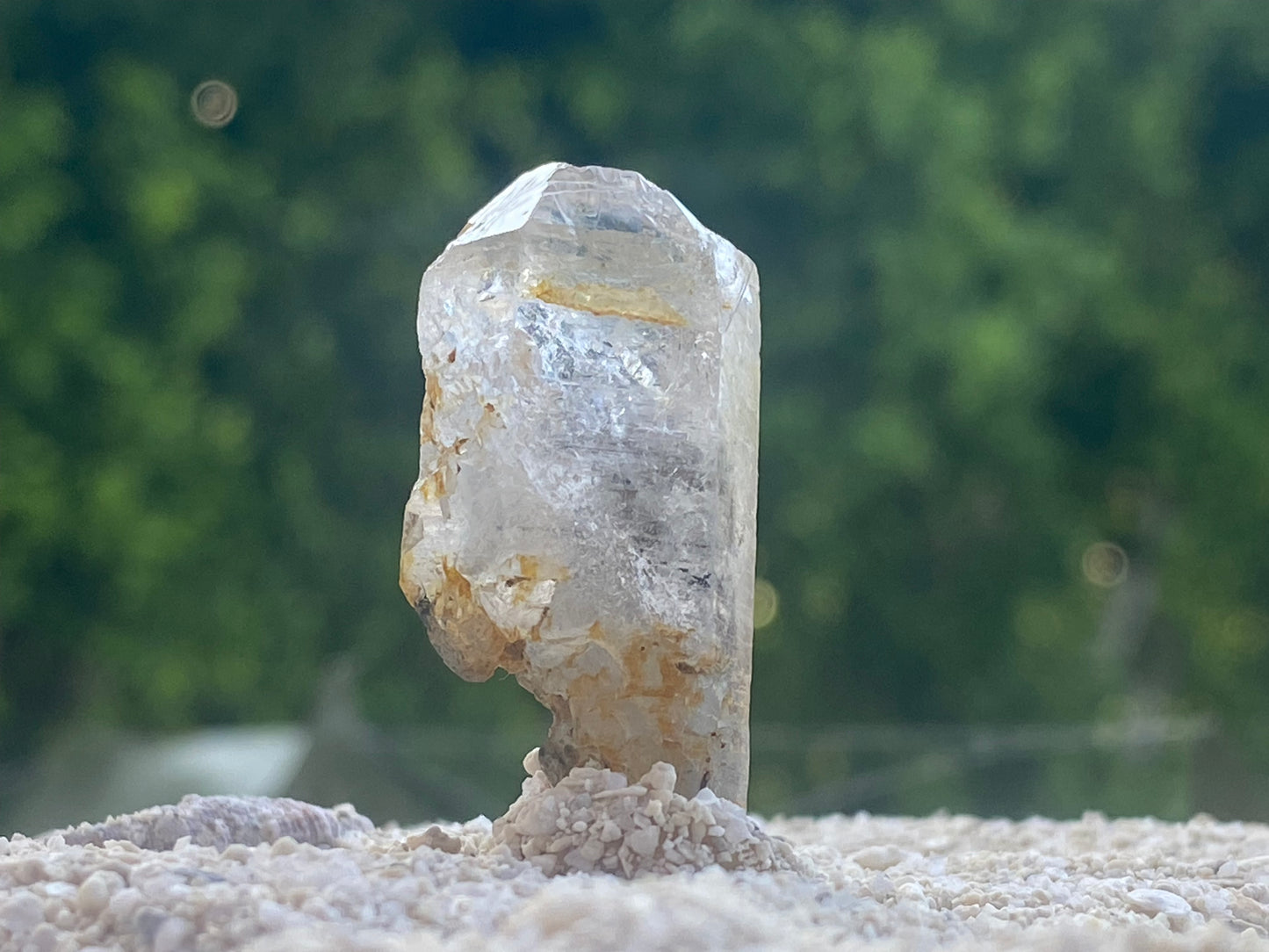 Black Tibetan Quartz Master Warrior Scepter Crystal w/Digital Guidebook