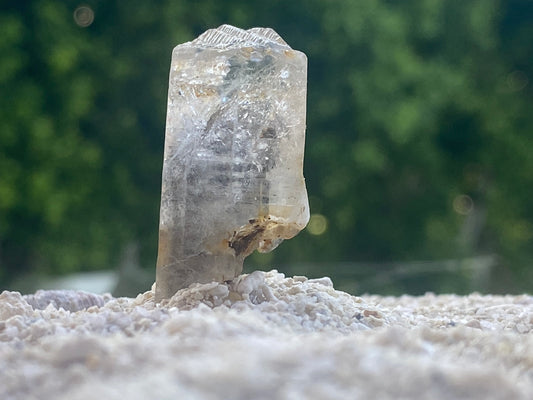 Black Tibetan Quartz Master Warrior Scepter Crystal w/Digital Guidebook