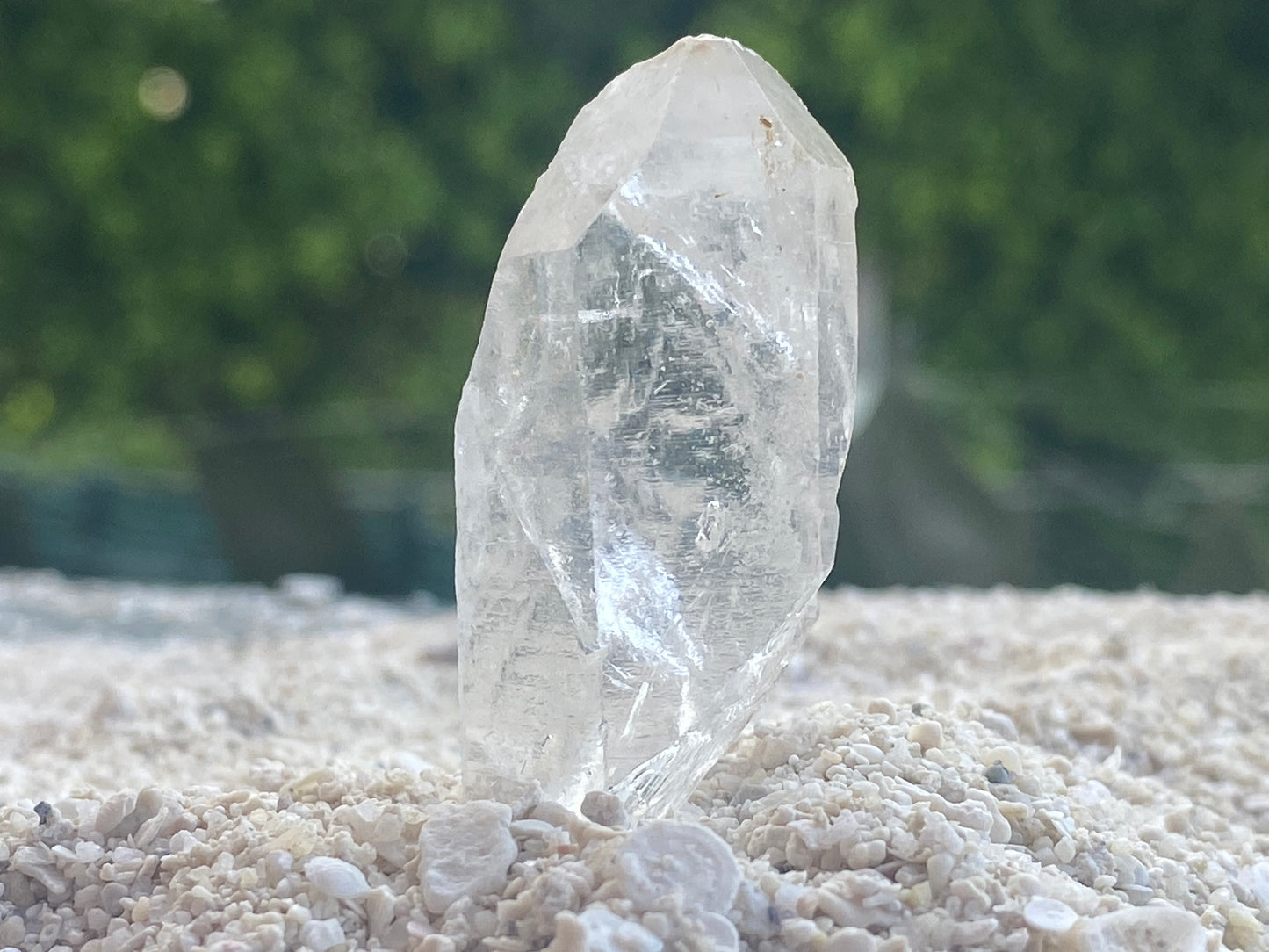 Tibetan Quartz Crystal w/ Digital Guidebook