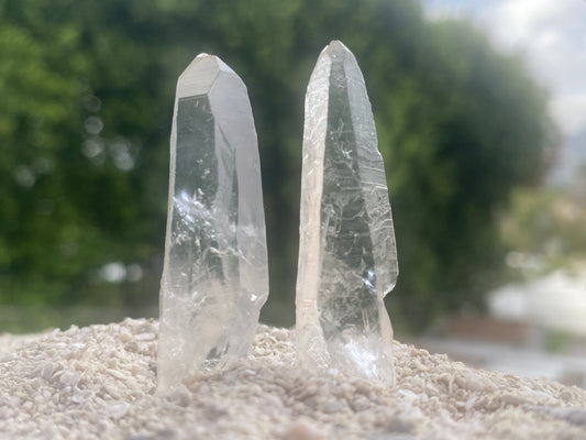 Lemurian Seed Master Warrior Recordkeeper Quartz Crystal Point Healing Set