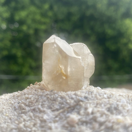 Golden Tibetan Quartz Tantric Twin Master Warrior Crystal