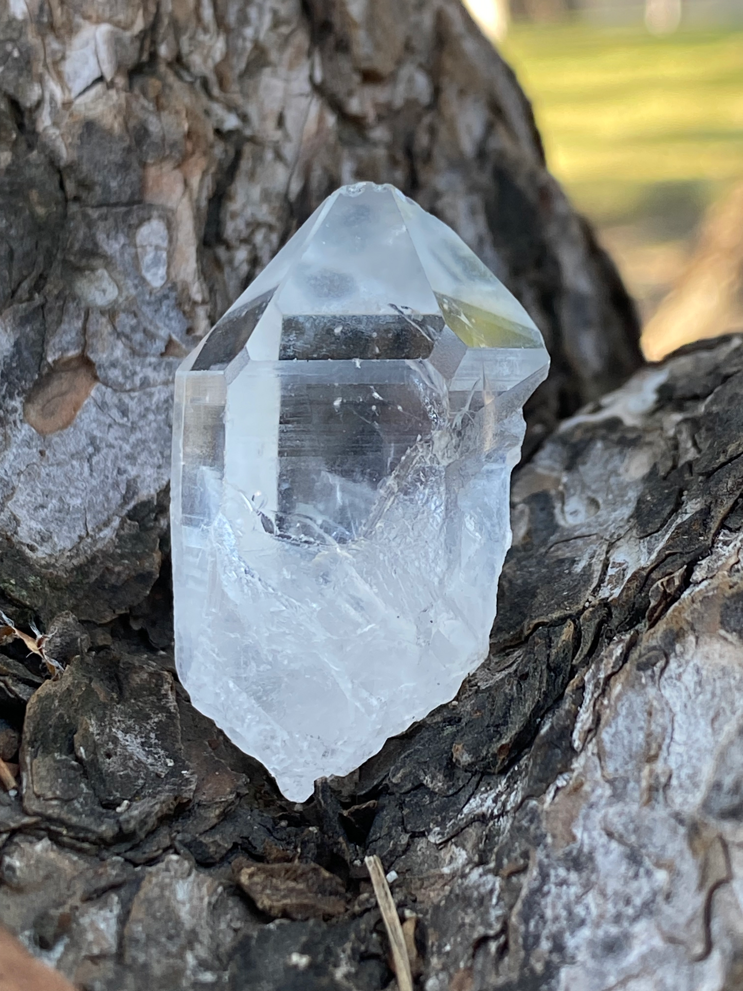 Lemurian Seed Master Warrior Timelink Generator Crystal Point for Interdimensional Healing