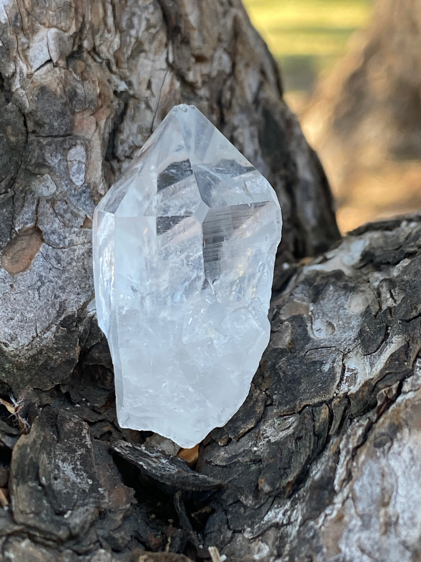 Lemurian Seed Master Warrior Timelink Generator Crystal Point for Interdimensional Healing