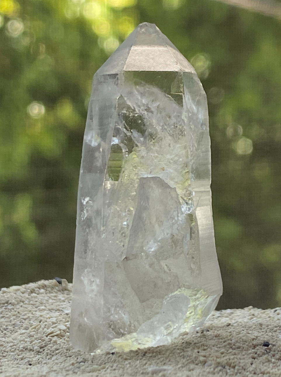 Lemurian Seed Master Warrior Generator Crystal for Multidimensional Insight