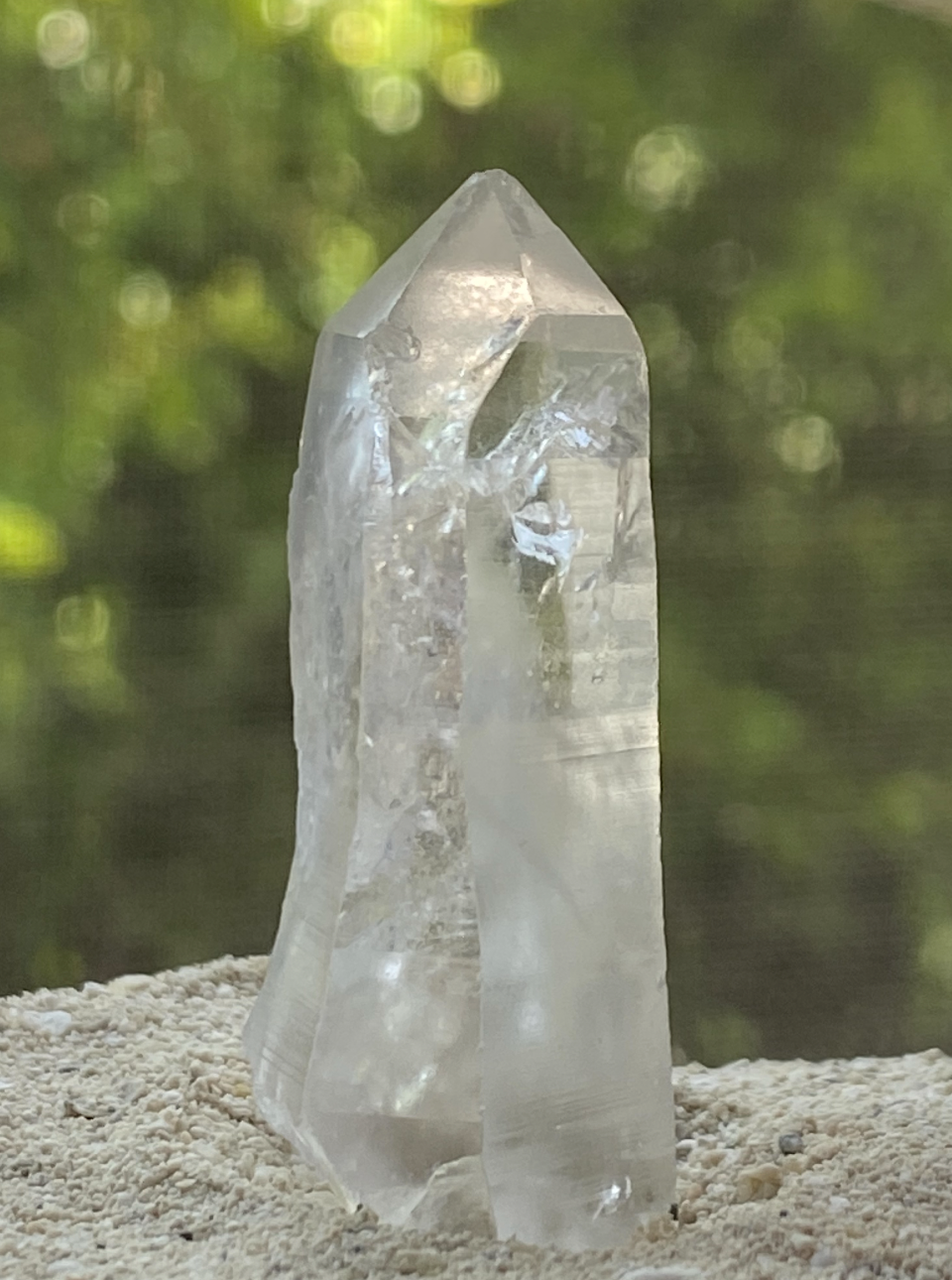 Lemurian Seed Master Warrior Generator Crystal for Multidimensional Insight