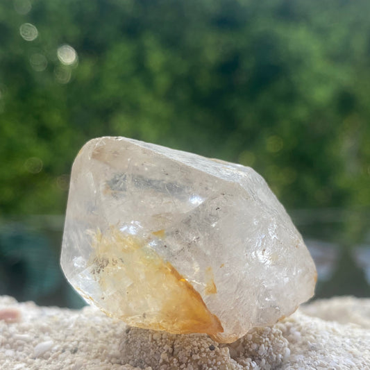 Isis Tibetan Quartz Master Generator Crystal Point w/ Digital Guidebook