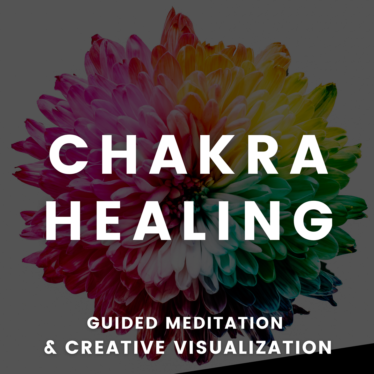 Chakra Healing Bundle: Meditations, Masterclass & E-Book