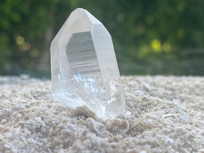 Lemurian Seed Master Channeling Quartz Crystal Point