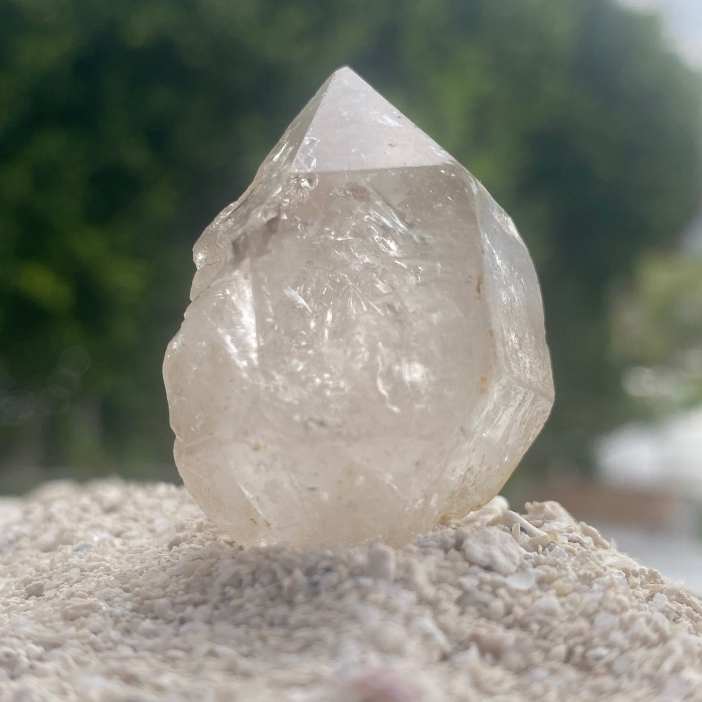 Tibetan Quartz Master Warrior Manifestation Generator Crystal w/Digital Guidebook