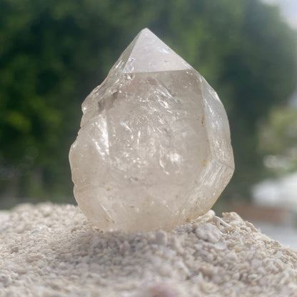 Tibetan Quartz Master Warrior Manifestation Generator Crystal w/Digital Guidebook