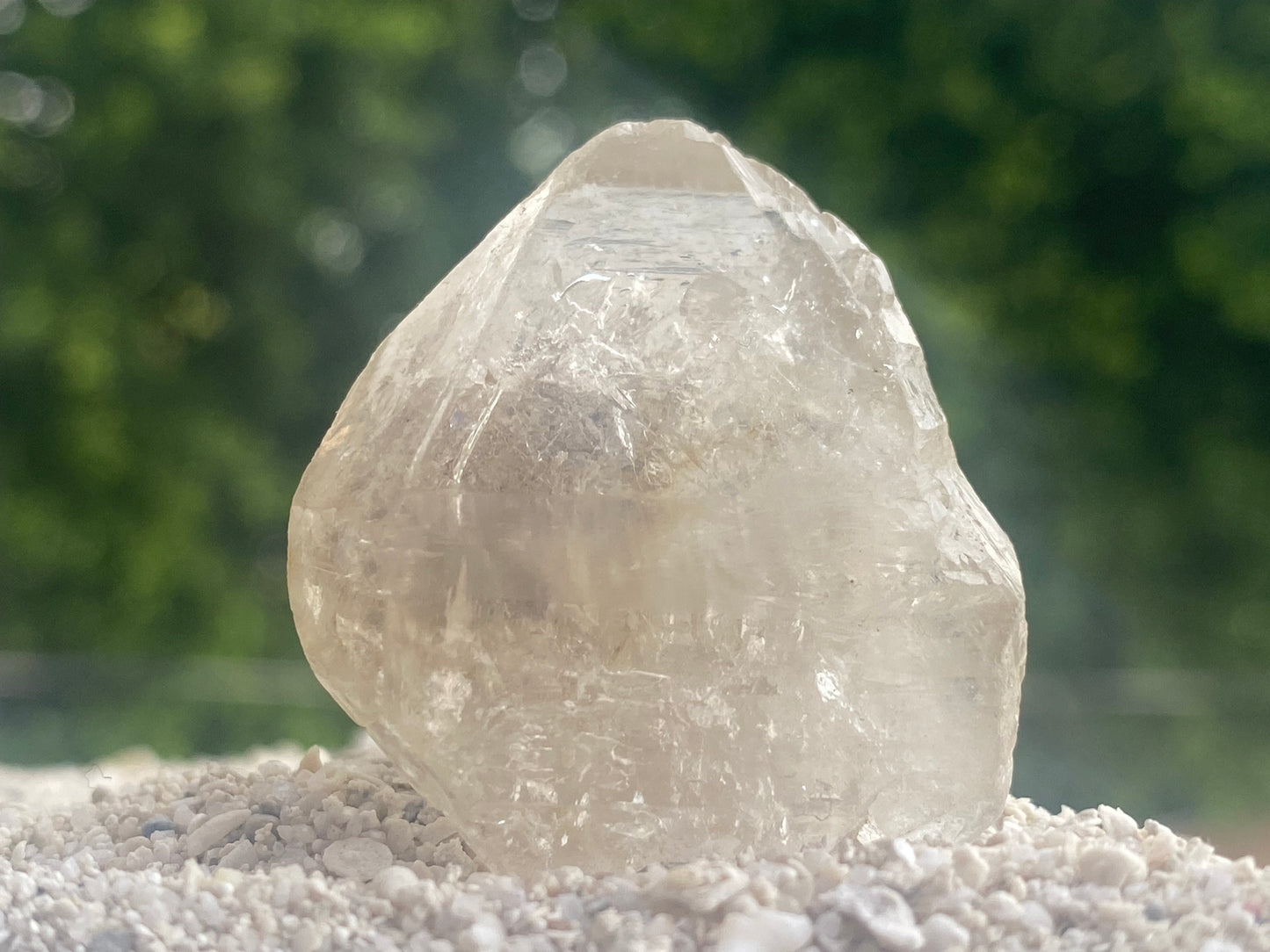 Tibetan Quartz Master Warrior Manifestation Crystal & Pleiadian Channeled Reading w/ Digital Guidebook
