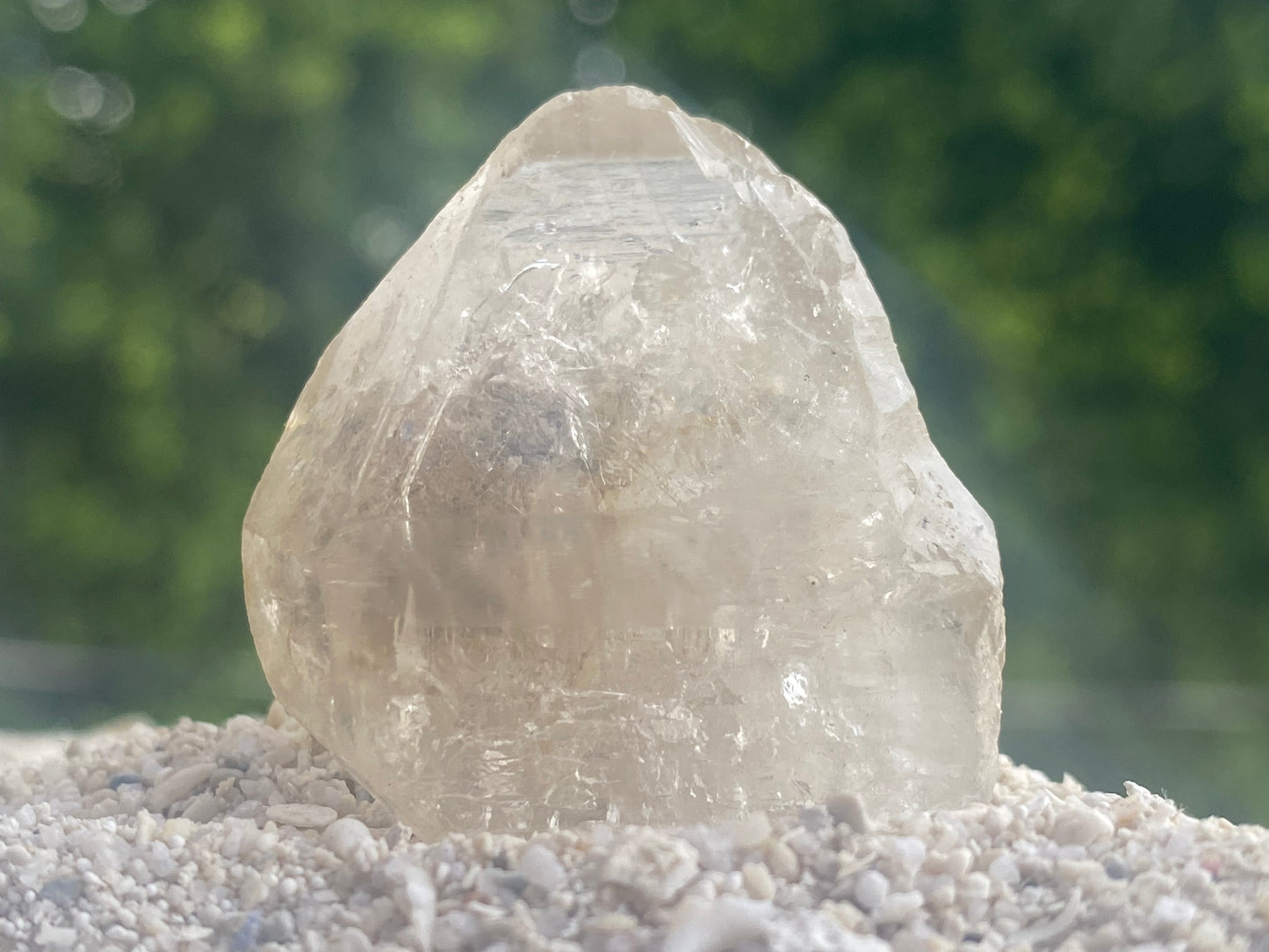 Tibetan Quartz Master Warrior Manifestation Crystal & Pleiadian Channeled Reading w/ Digital Guidebook