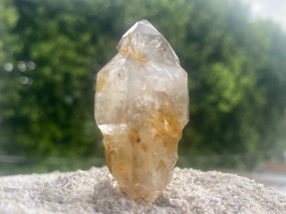 Golden Tibetan Quartz Master Warrior Crystal Scepter w/Digital Guidebook