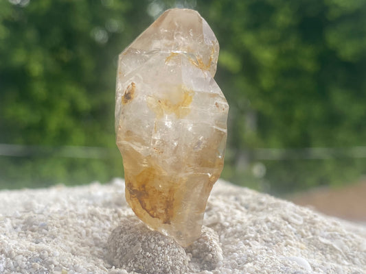 Golden Tibetan Quartz Master Warrior Crystal Scepter w/Digital Guidebook