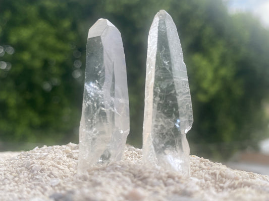 Lemurian Seed Master Warrior Recordkeeper Quartz Crystal Point Healing Set