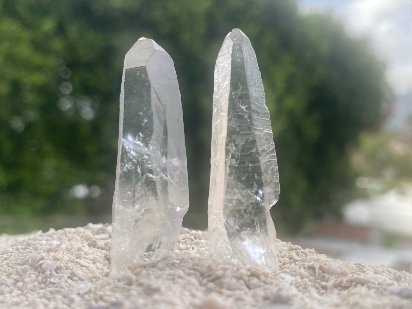 Lemurian Seed Master Warrior Recordkeeper Quartz Crystal Point Healing Set