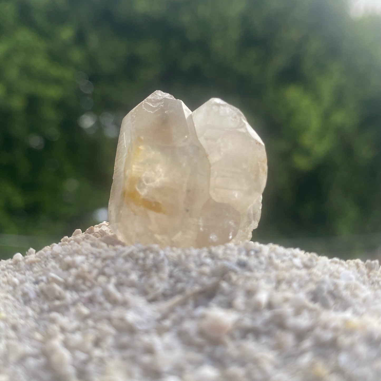 Golden Tibetan Quartz Tantric Twin Master Warrior Crystal