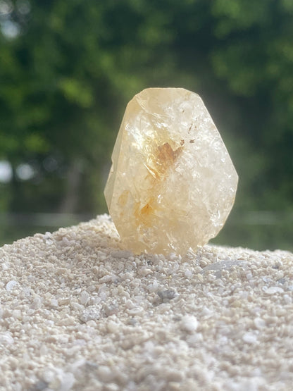 Golden Isis Tibetan Quartz Master Warrior Crystal w/Digital Guidebook