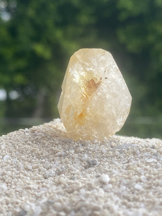 Golden Isis Tibetan Quartz Master Warrior Crystal w/Digital Guidebook