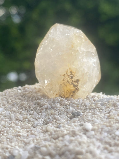 Golden Isis Tibetan Quartz Master Warrior Crystal w/Digital Guidebook