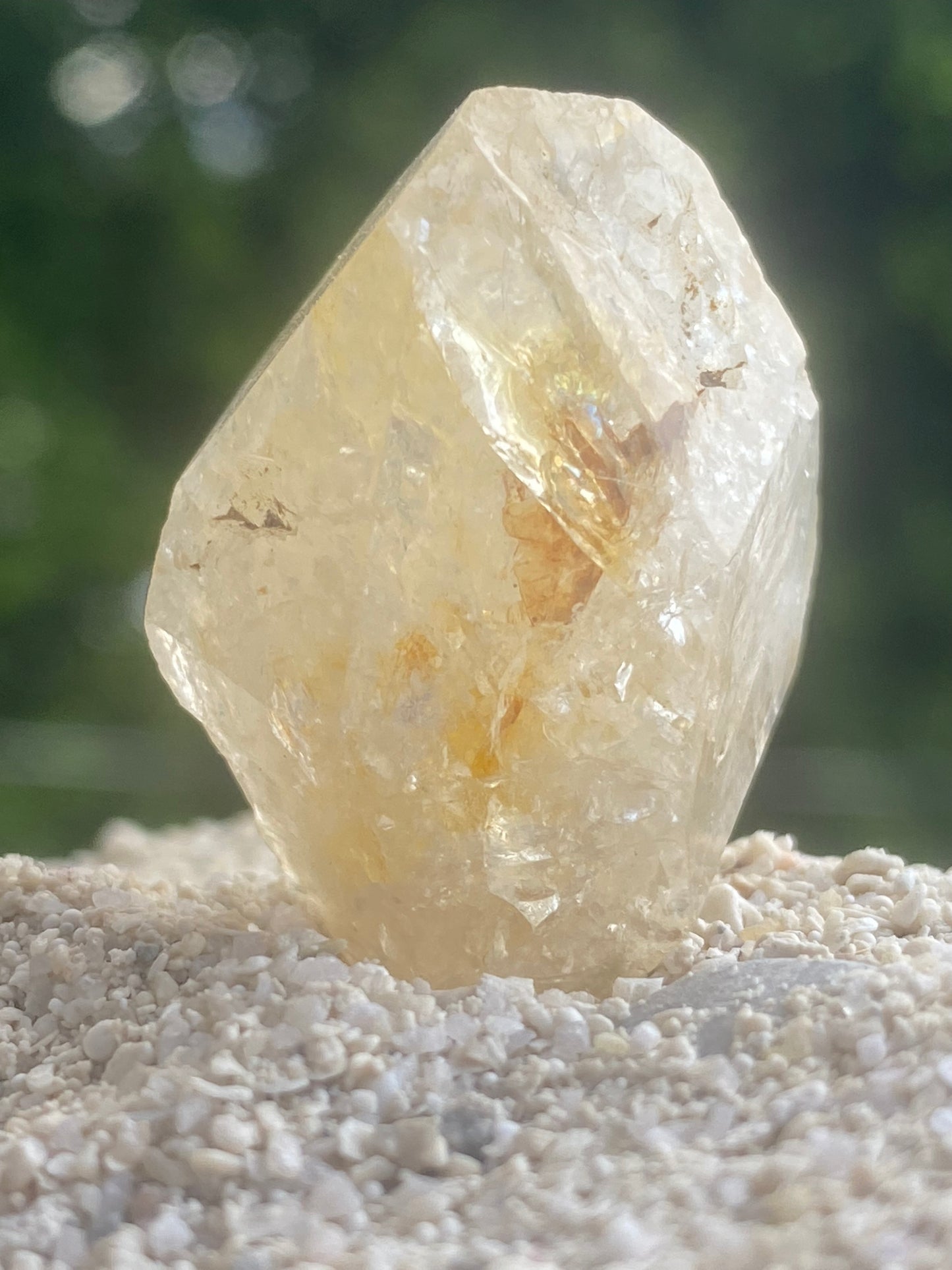 Golden Isis Tibetan Quartz Master Warrior Crystal w/Digital Guidebook