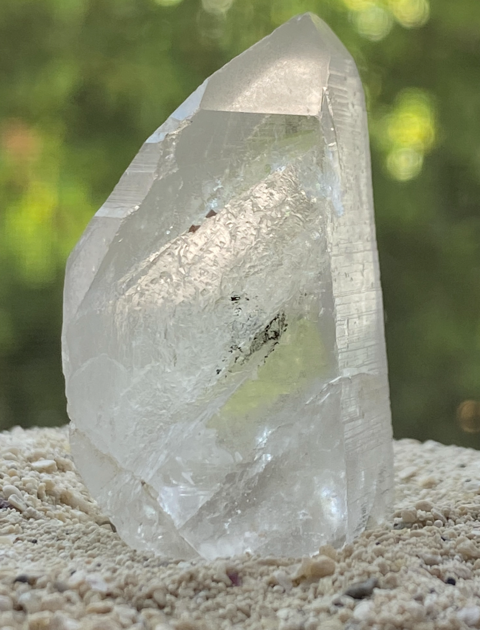 Lemurian Seed Master Timelink Recordkeeper Generator Quartz Crystal Point for Interdimensional Healing