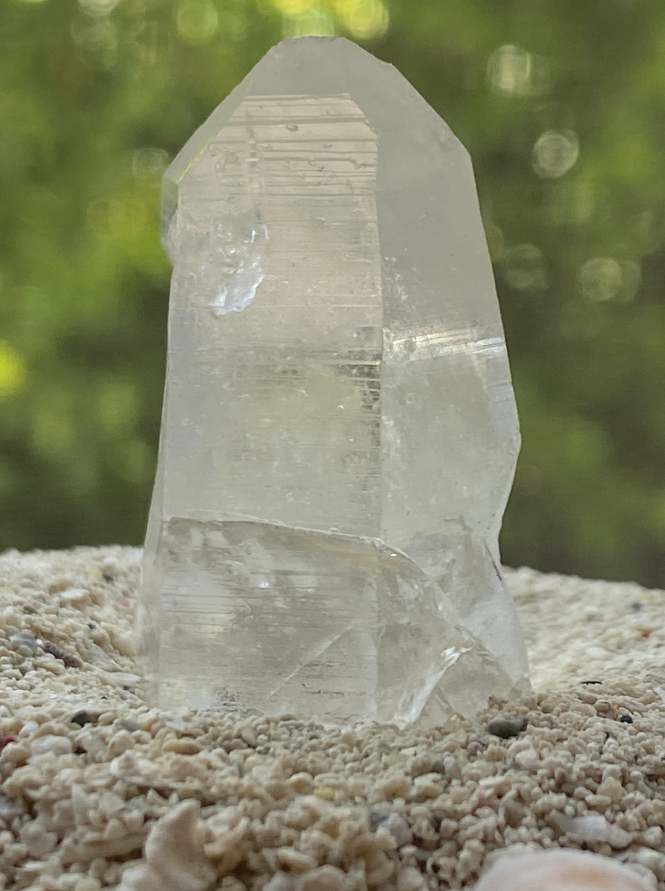 Lemurian Seed Master Timelink Recordkeeper Generator Quartz Crystal Point for Interdimensional Healing