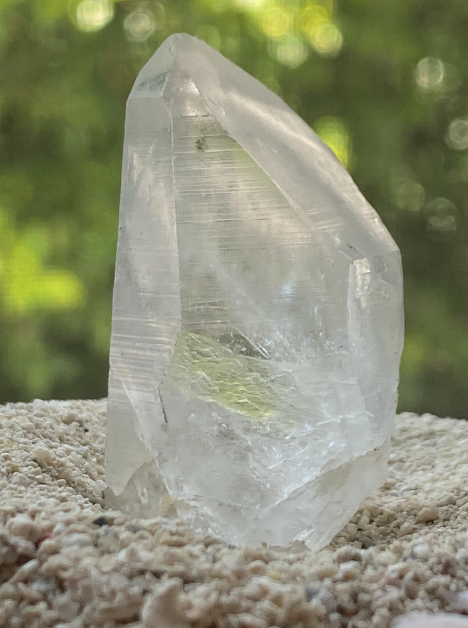 Lemurian Seed Master Timelink Recordkeeper Generator Quartz Crystal Point for Interdimensional Healing