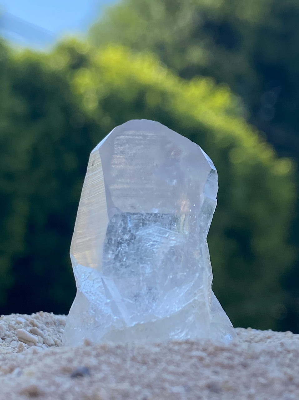 Lemurian Seed Master Timelink Recordkeeper Generator Quartz Crystal Point for Interdimensional Healing