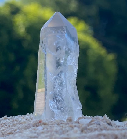 Lemurian Seed Master Warrior Generator Crystal for Multidimensional Insight