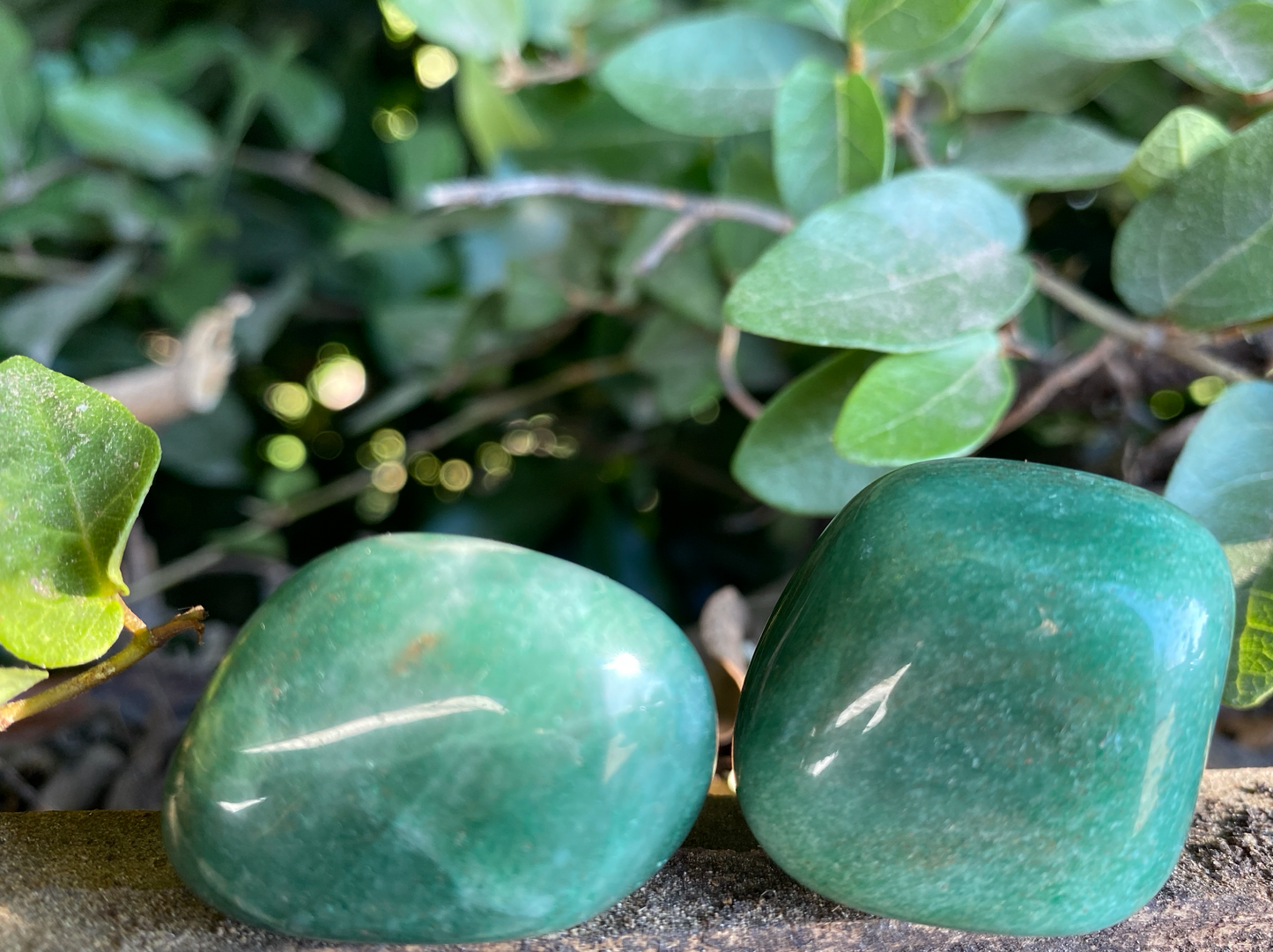 Green Aventurine Crystal Healing Set for Vitality, Growth & Confidence